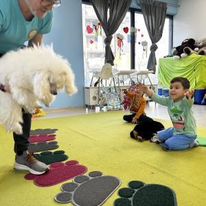 IMG2538ede324b20301100748